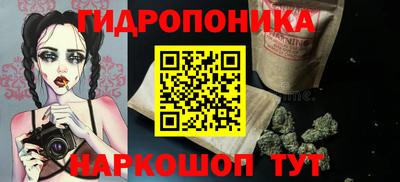 ГАЛЛЮЦИНОГЕННЫЕ ГРИБЫ Кандалакша