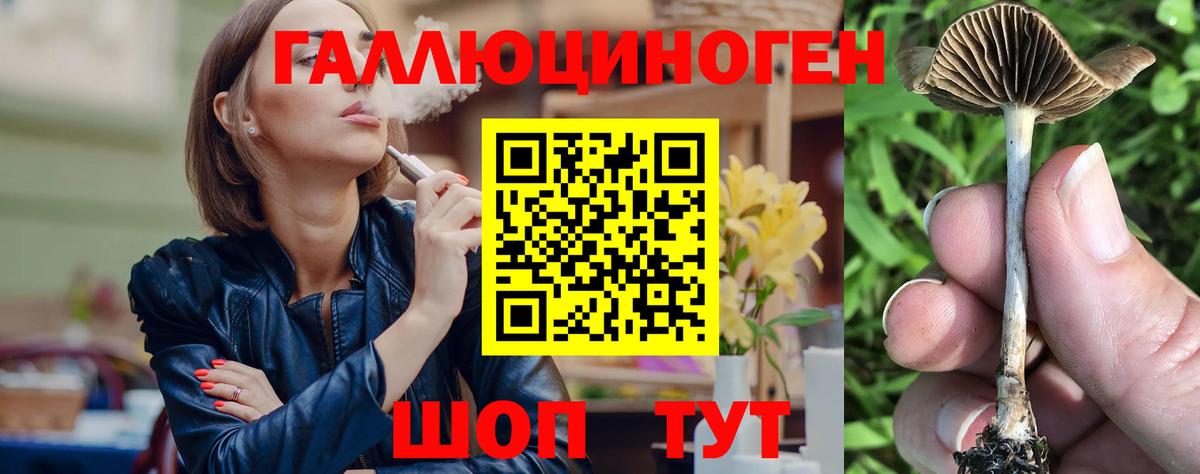 Черногорск  Галлюциногенные грибы ЛСД  Псилоцибиновые грибы ЛСД  Вход с VPN 