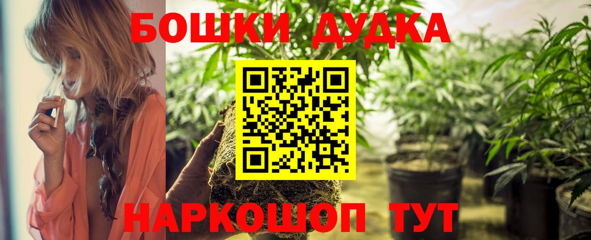 Конопля Amnesia  Бошки марихуана гибрид  МАРИХУАНА планчик  Вход с VPN  Черногорск  Бошки Шишки Ganja 